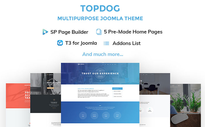 Easy-in-Use Multifunctional Joomla Template