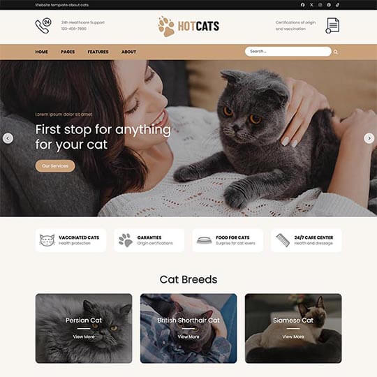 Cats Joomla template powered by Joomla page builder