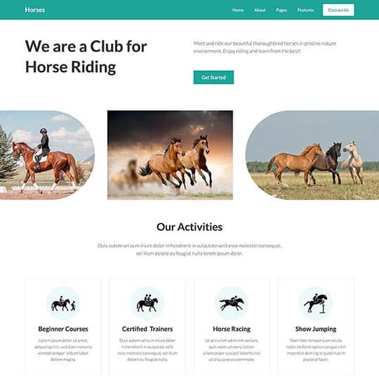 Horses Joomla template