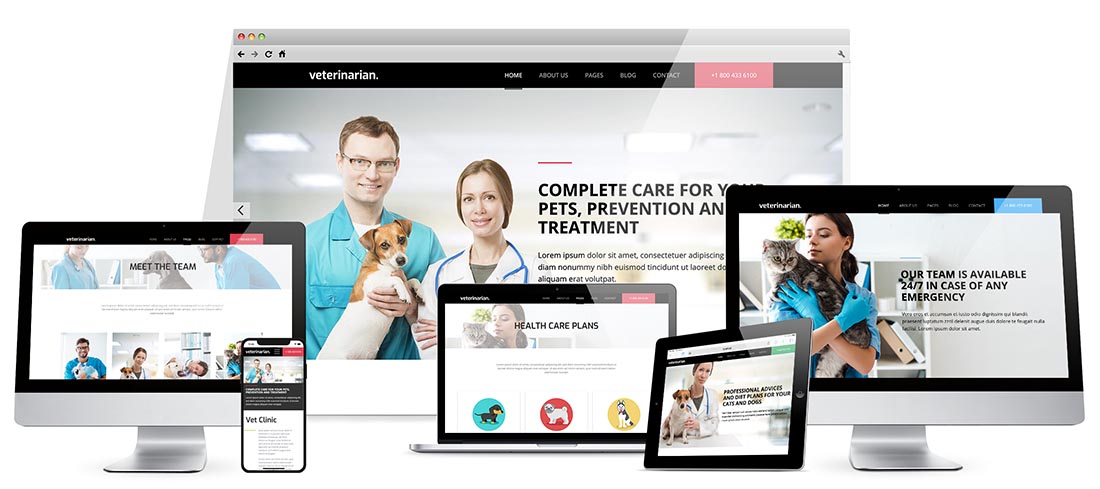 Responsive Veterinary Template