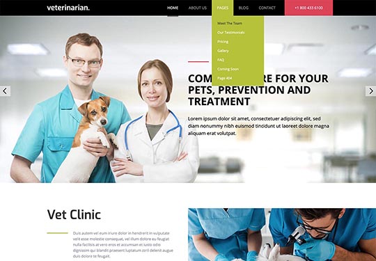 Drop-down multilevel menu in Veterinary template